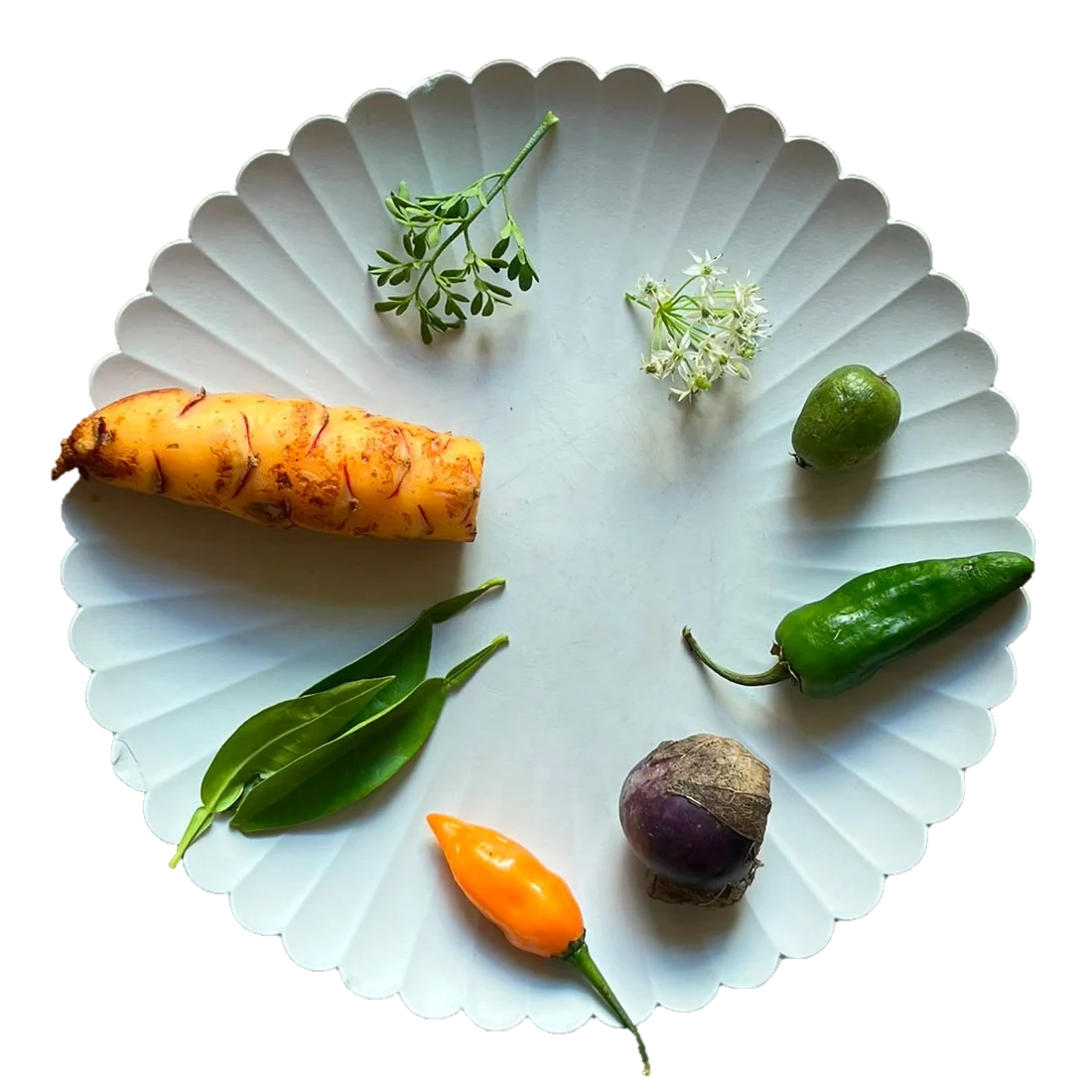 Seasonal vegetables on a scalloped plate on a wooden table